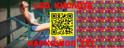 дживик Моздок
