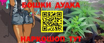 дживик Моздок