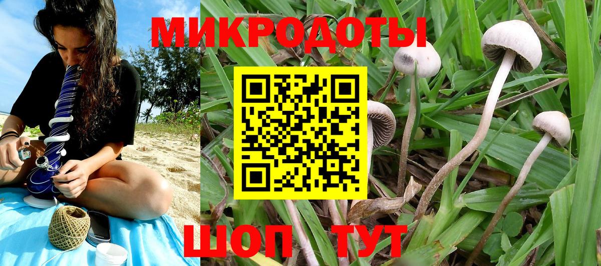 Галлюциногенные грибы Psilocybe Старая Купавна