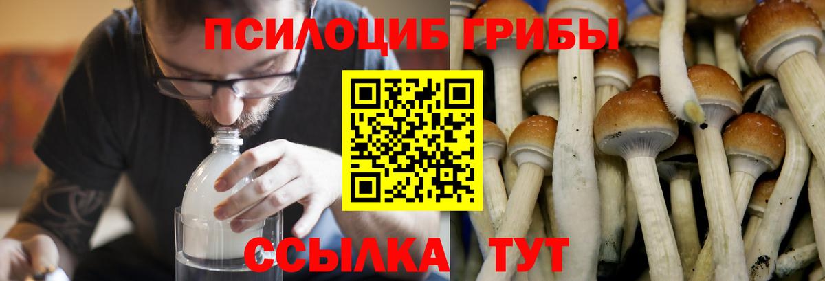 Псилоцибиновые грибы ЛСД  Вход с VPN  Старая Купавна 